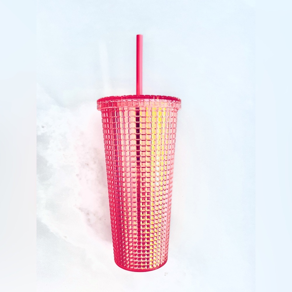 Rose silver Studded Tumbler with Straw Double Wall BPA Free 20oz